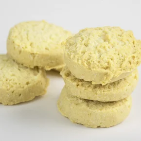 BISC LARANJA S/ GLU S/LACTOSE LARANJA